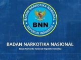 Badan Narkotika Nasional (BNN) (Sumber: Istimewa).
